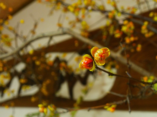 まねきねこ店内作品