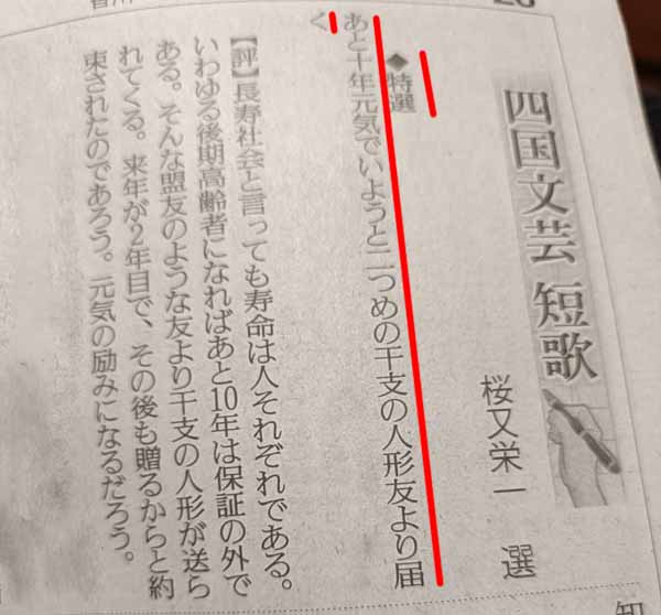 まねきねこ店内