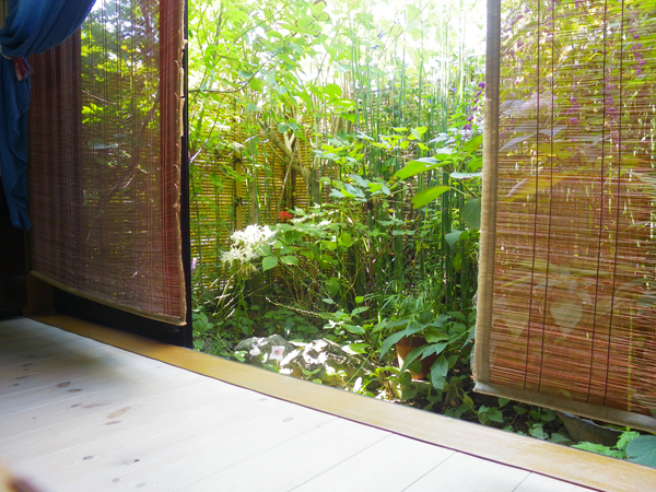 まねきねこ10月ギャラリー